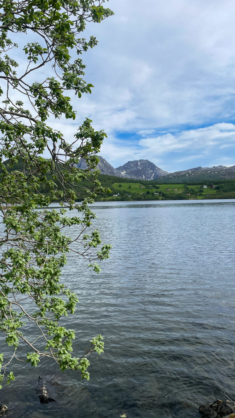 Lake Olaheimvatnet on Senja Island, with the peaks around the Selfjord afar © Knut Hansvold