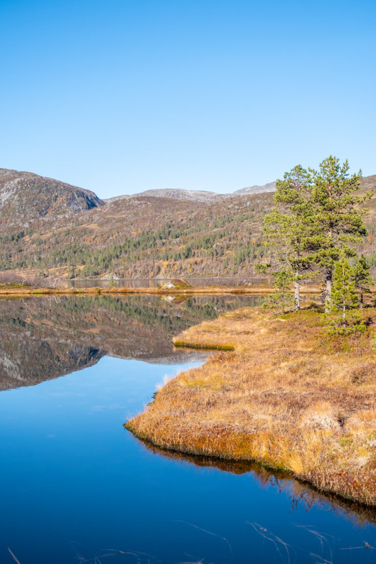 A calm autumn day at Lake Åndervatn © Dag Arild Larsen