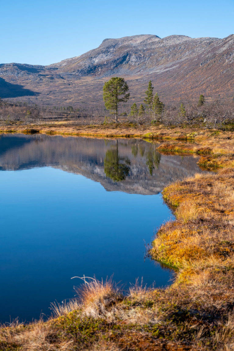 The autumn mirroring in Lake Åndervatn © Dag Arild Larsen