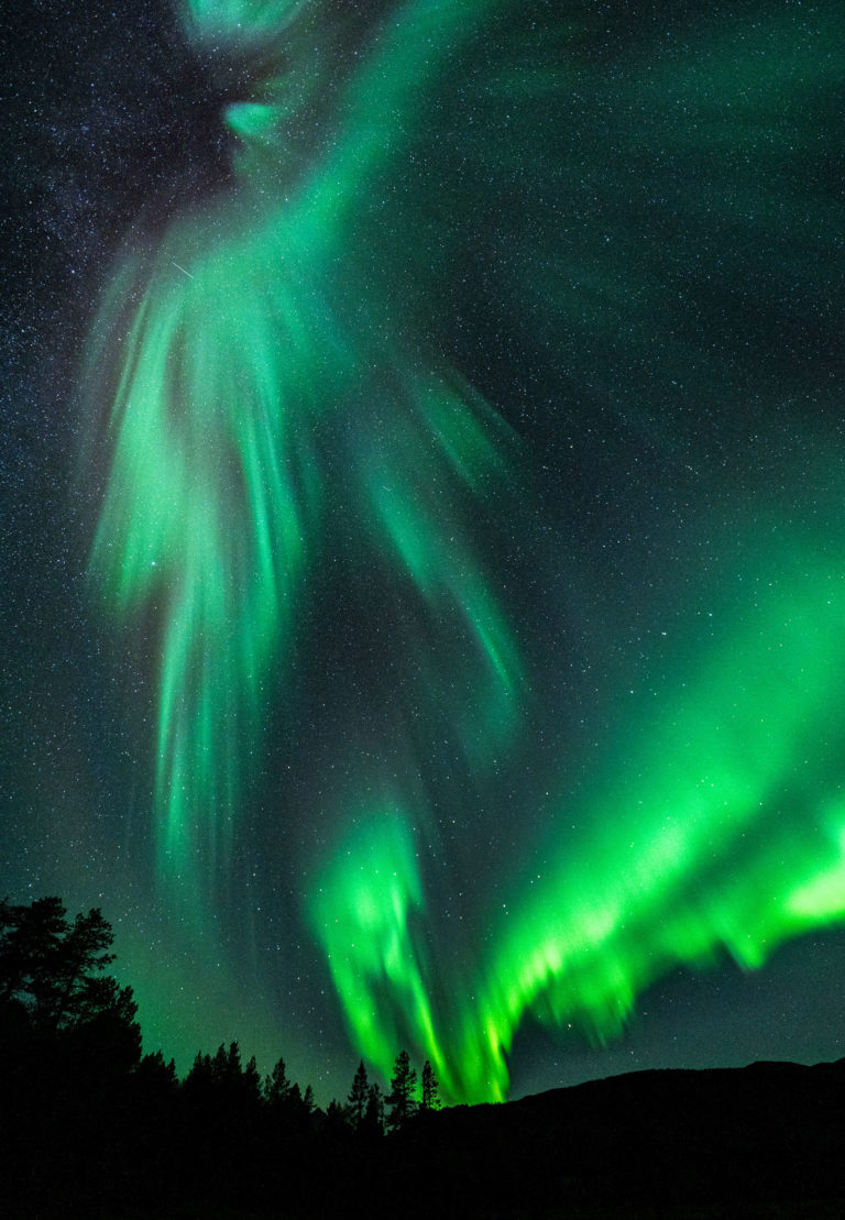 Northern Lights exploding an autumn night above the Ånderdalen National Park © Dag Arild Larsen