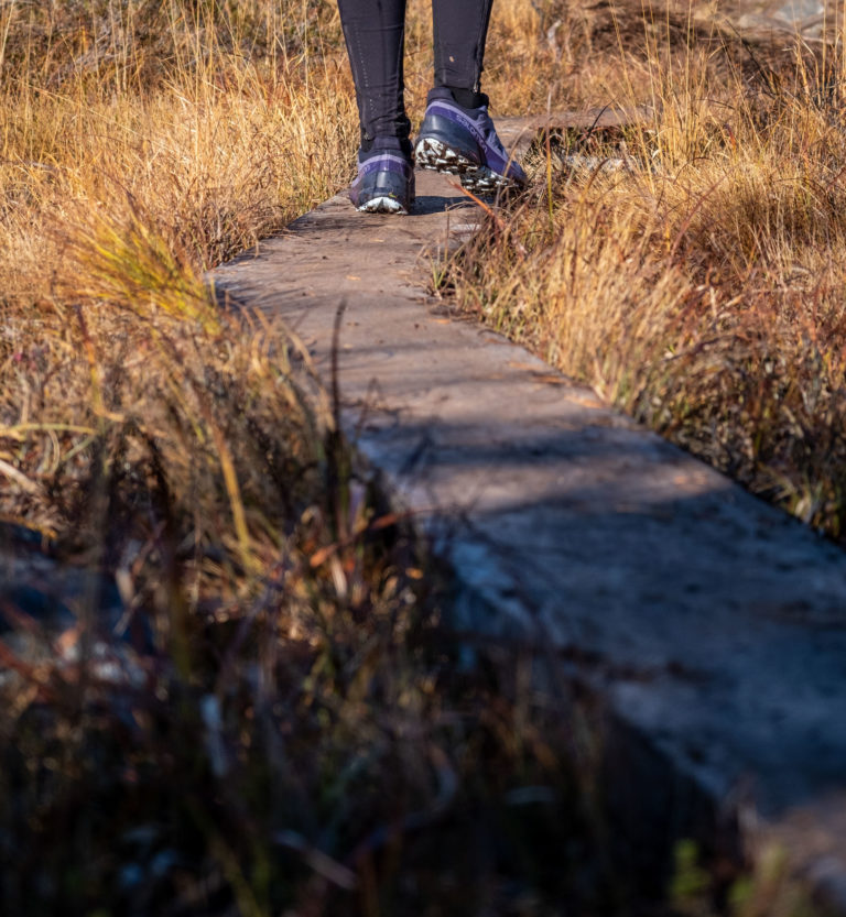 Crossing the bog © Dag Arild Larsen