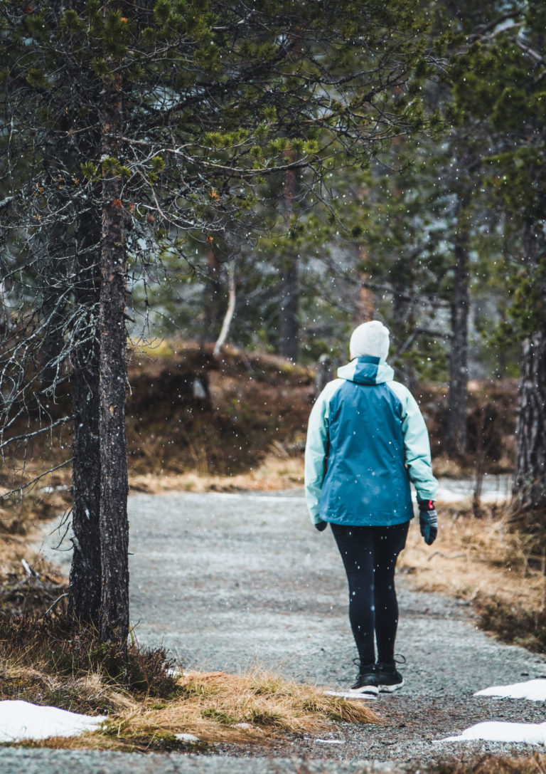 Autumn on the path leading to the national park border © Dag Arild Larsen