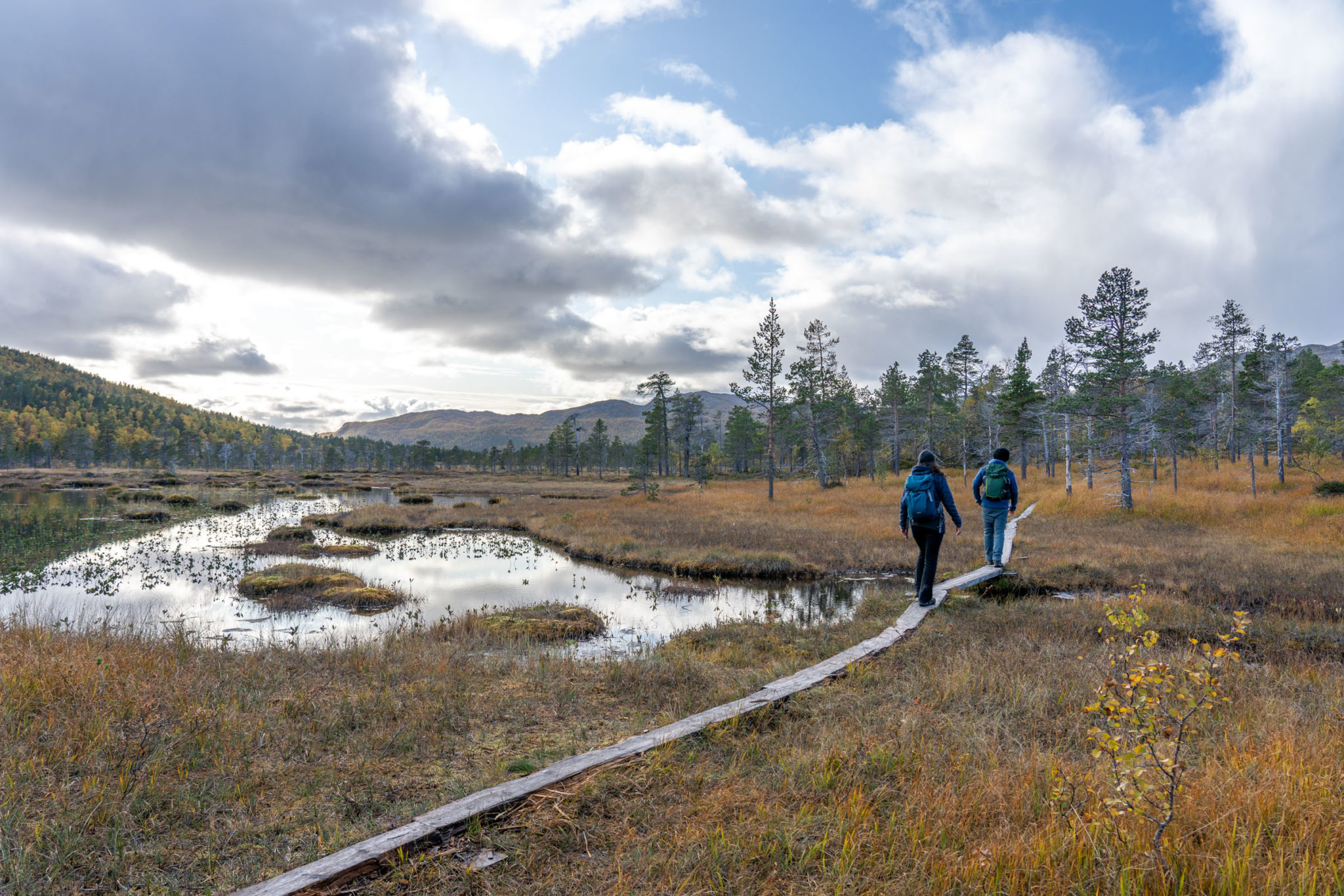 Boggy terrain in Ånderdalen National Park © Dag Arild Larsen