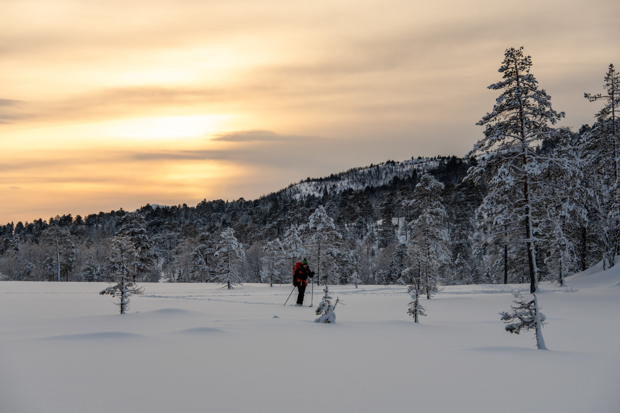 Skis across frozen bogs in the Ånderdalen National Park © Dag Arild Larsen