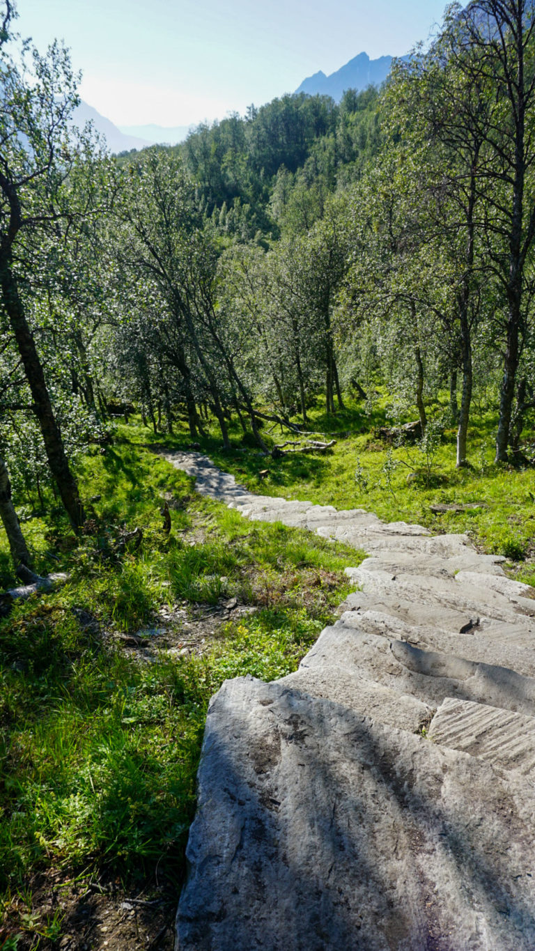 Mountain forests and distant alps in the higher part of the Lyngentrappa stairs © Knut Hansvold