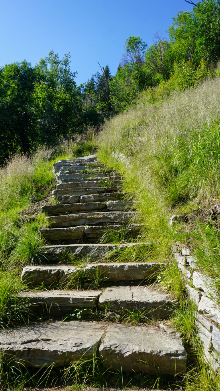 Steep steps and summery vegetation in the lower end of the Lyngentrappa stairs © Knut Hansvold