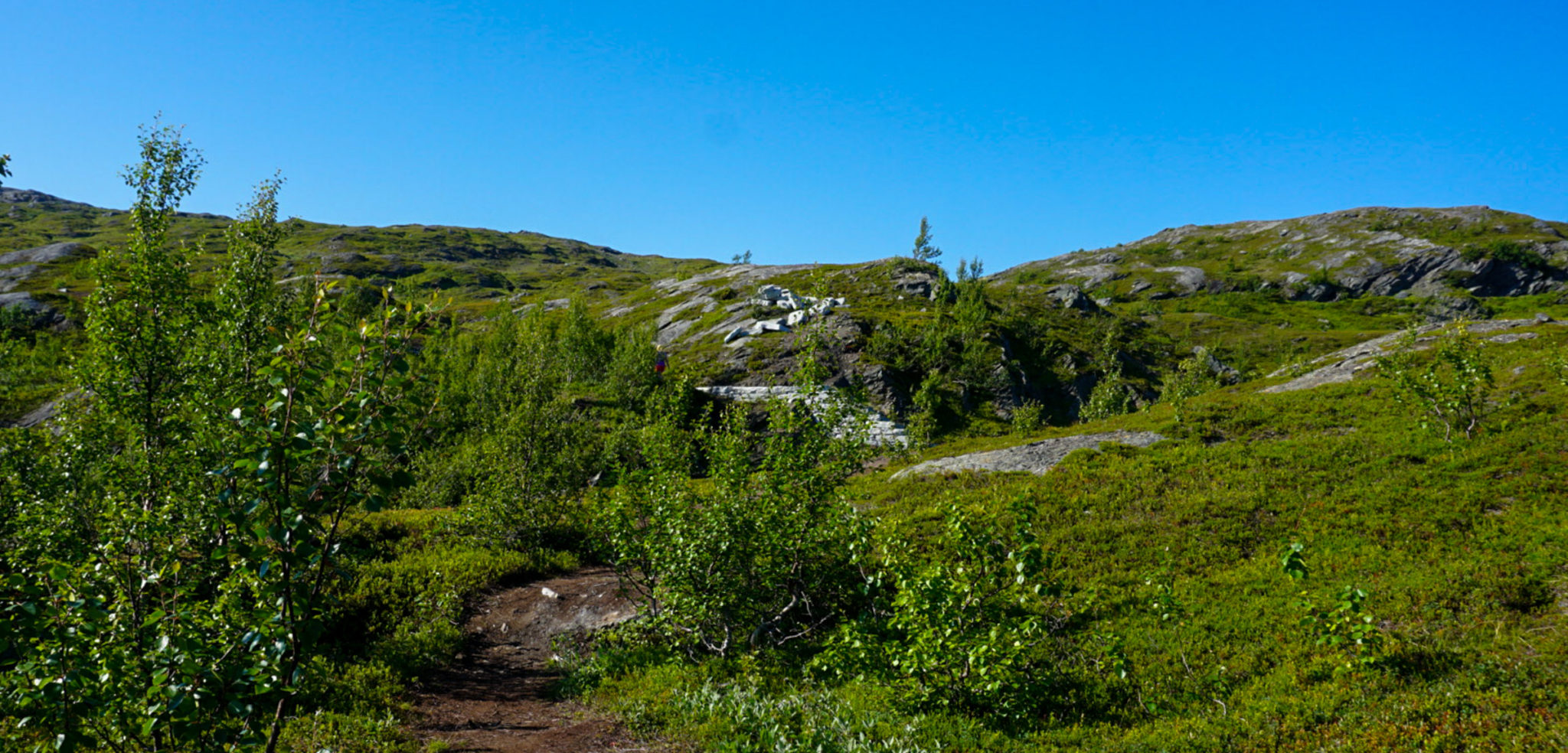 At an altitude of some 450 metres, shrubbery and heather takes over © Knut Hansvold