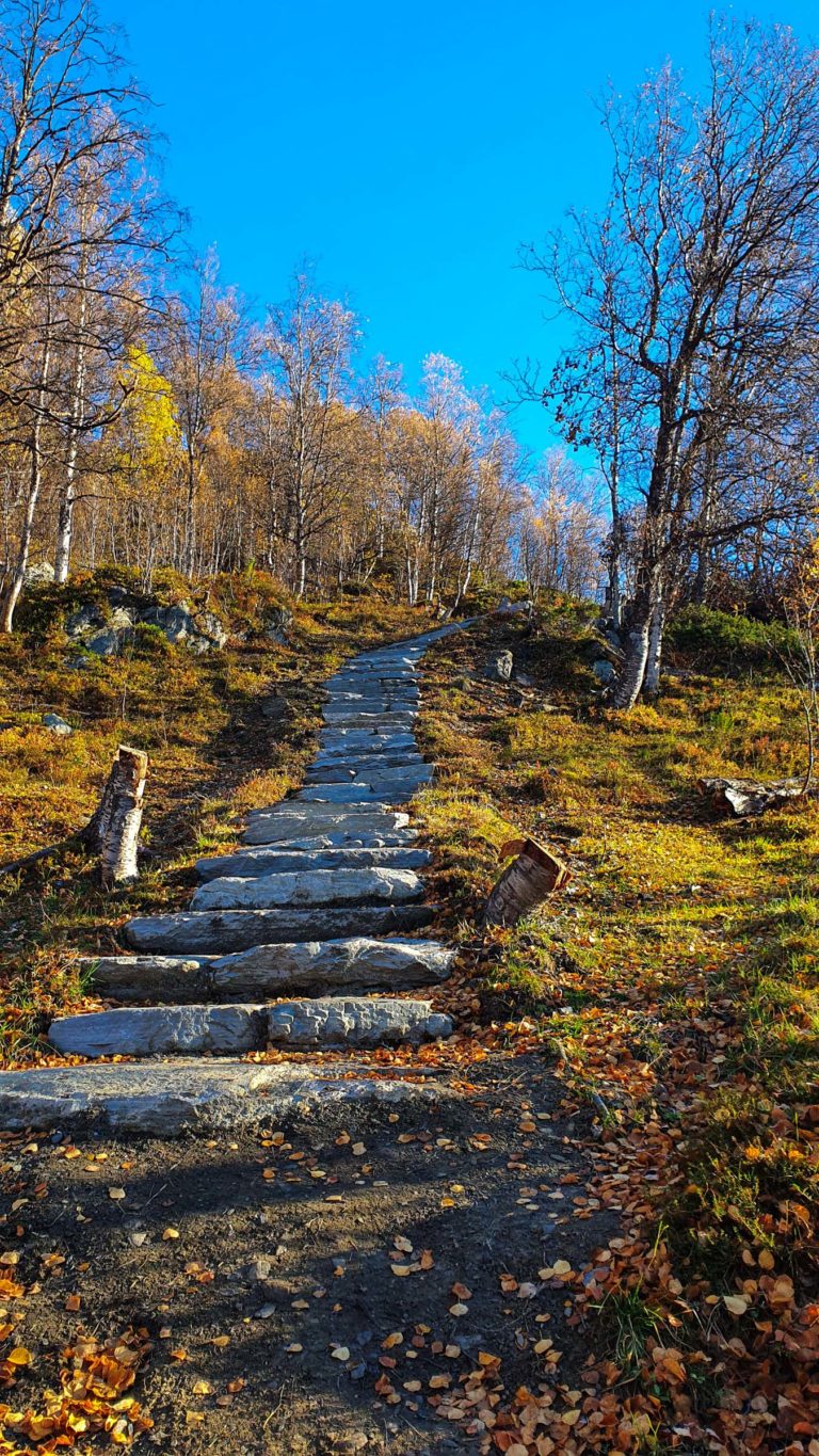 Autumn in the Lyngentrappa stairs © Marie Angelsen / Visit Lyngenfjord