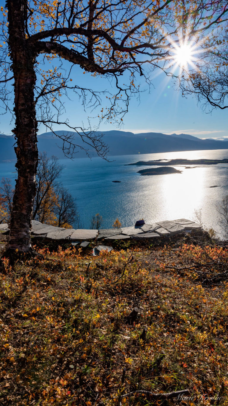 The view in autumn colours © Marie Angelsen / Visit Lyngenfjord