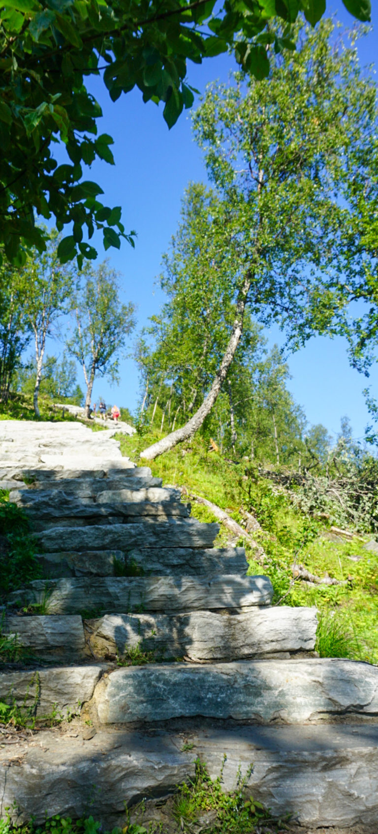 Midway up the Lyngentrappa stairs you just feel you have to up it a bit © Knut Hansvold