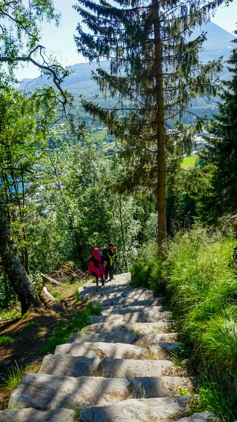 In the lower parts, the vegetation is dense, and the view is revealed only in parts © Knut Hansvold