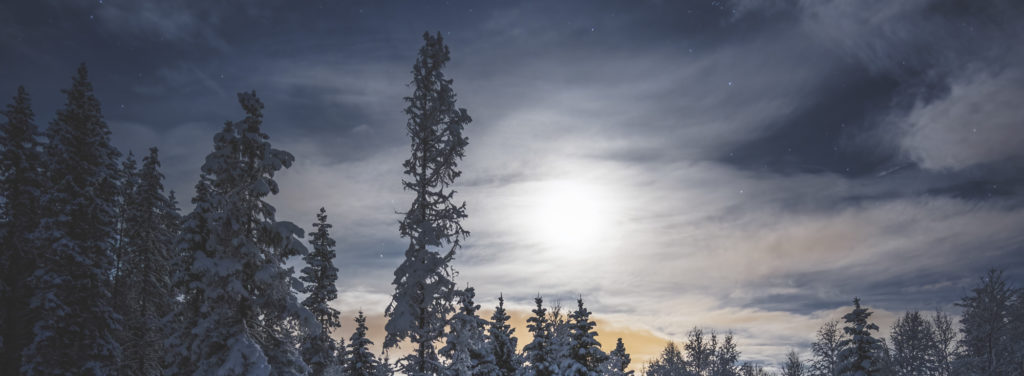 Night sky with trees in the forground, with the moon and some light clouds.