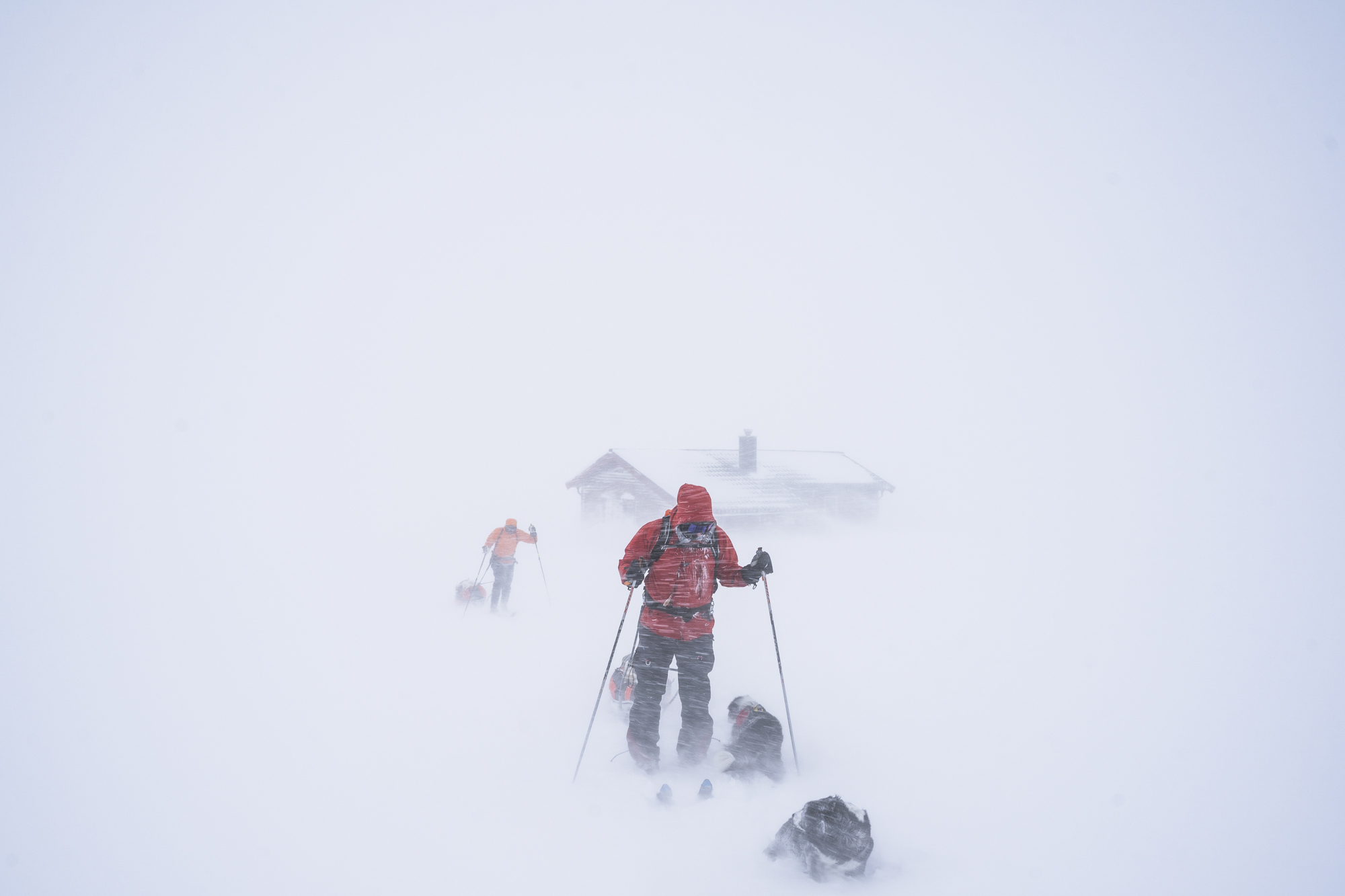 Skier dressed in red, in the middle of the snow blizzard. 