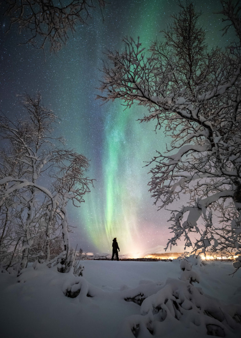 Nordlich im Winterwald. Insel Senja ©Kristoffer Vangen