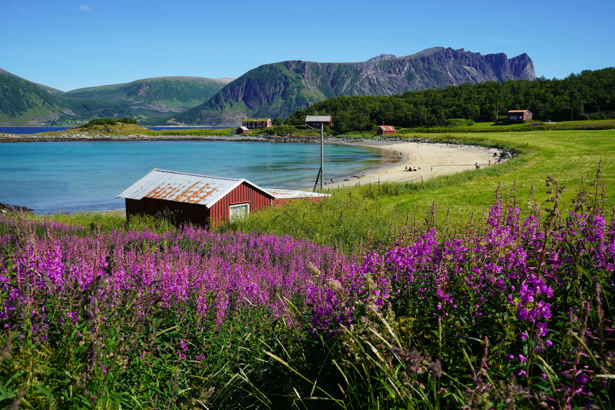 View from the road across the fields full of history towards the beach © Tore Ruud / Elgsnes