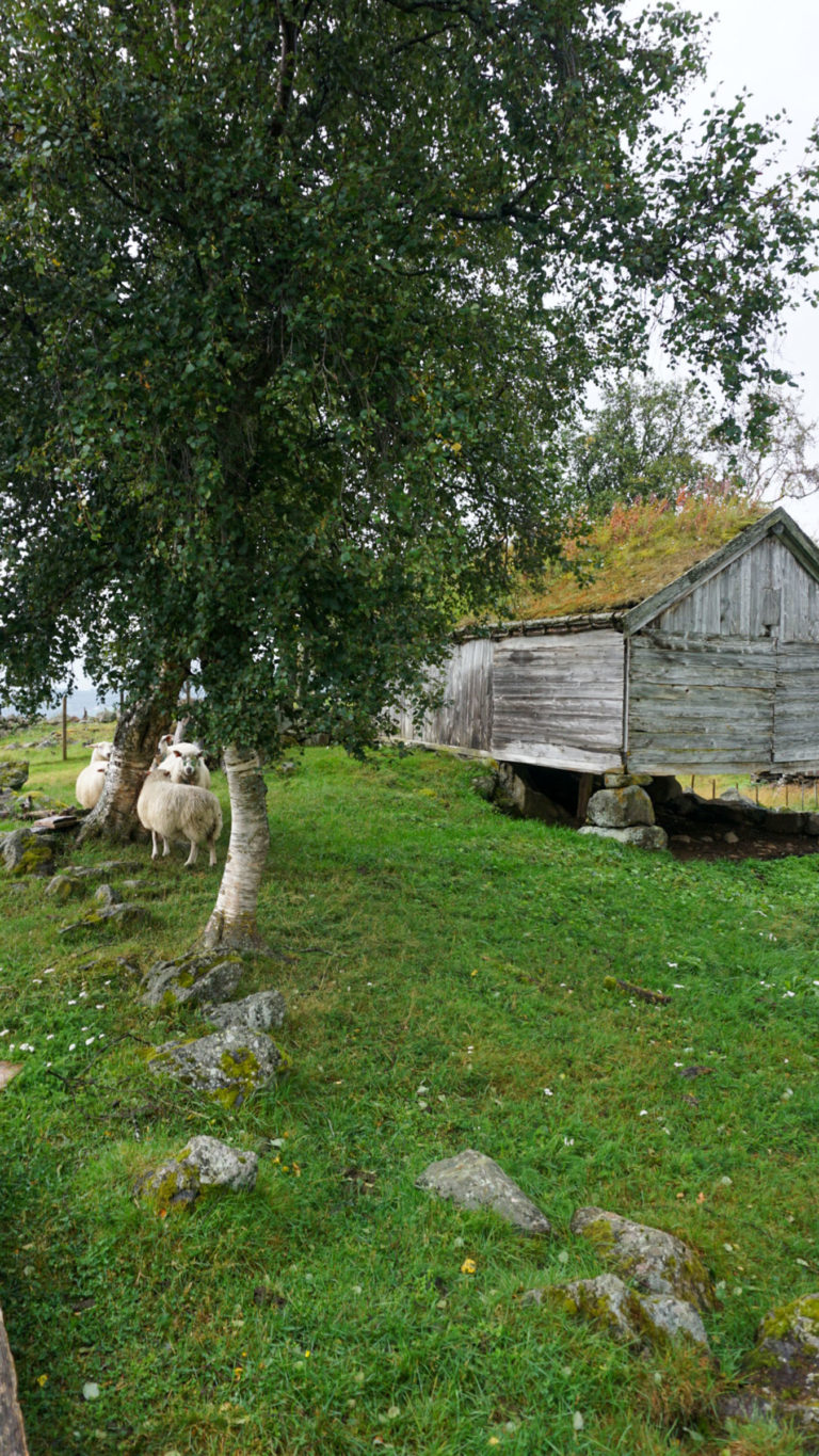 Summer barn at the culture path Skallan - Rå, Kvæfjord © Knut Hansvold / NordNorsk Reiseliv