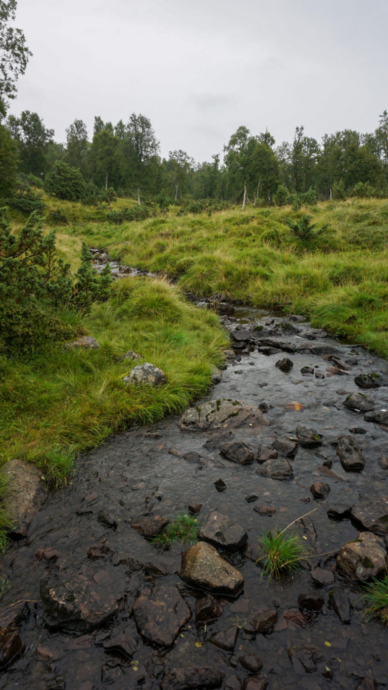 On stepping stones across the stream at the Culture path Skallan - Rå, Kvæfjord © Knut Hansvold / NordNorsk Reiseliv