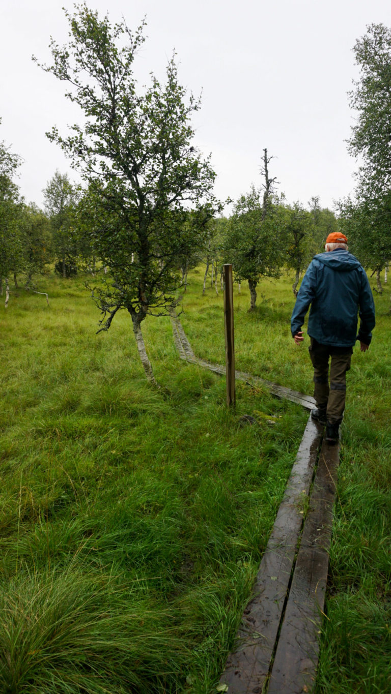 Plank walkway across a bog at the Culture path Skallan - Rå, Kvæfjord © Knut Hansvold / NordNorsk Reiseliv