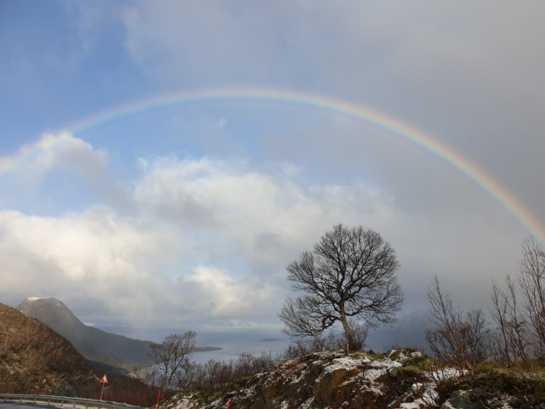 Winter landscapes in the Elgsnes area © Lars Børge Myklevold