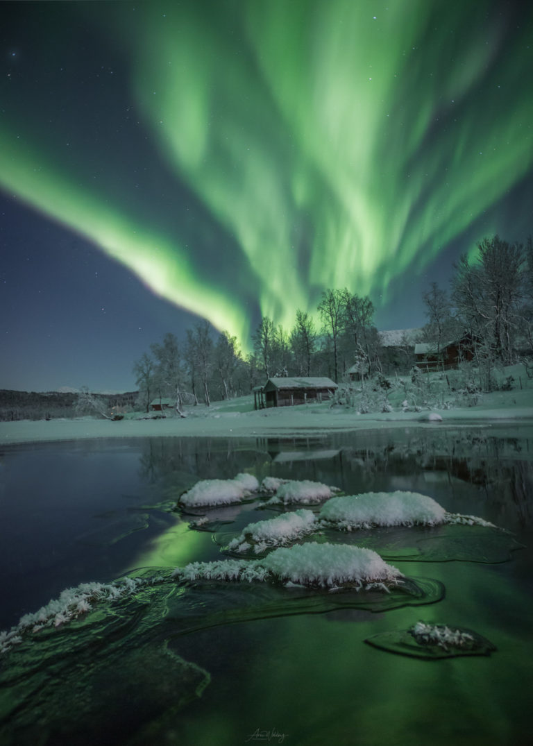 Frosty night with Northern Lights in the forest near Harstad © Arne Widding