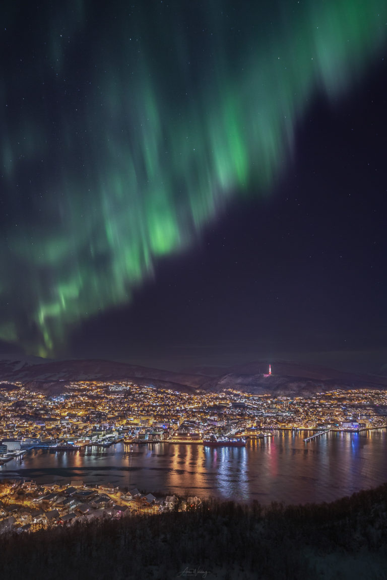 Northern Lights in green with hints of violet over the centre of Harstad © Arne Widding