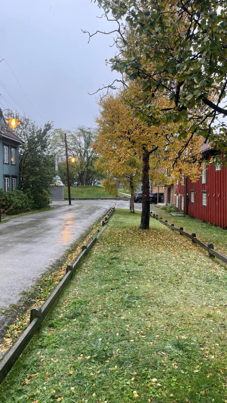Grey, wet, and autumnal in Nordre Tollbugate © Knut Hansvold