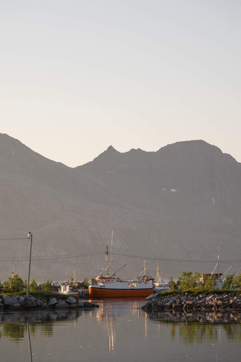 Midnight and summer in Tromvik, at the far western edge of Kvaløya © Marie Nystad Helgesen