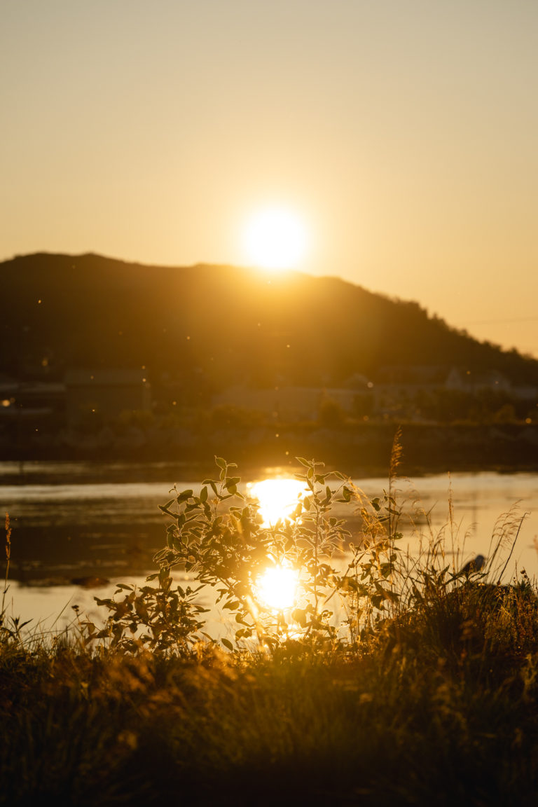 Midnight sun by the fjord on Kvaløya Island © Marie Nystad Helgesen