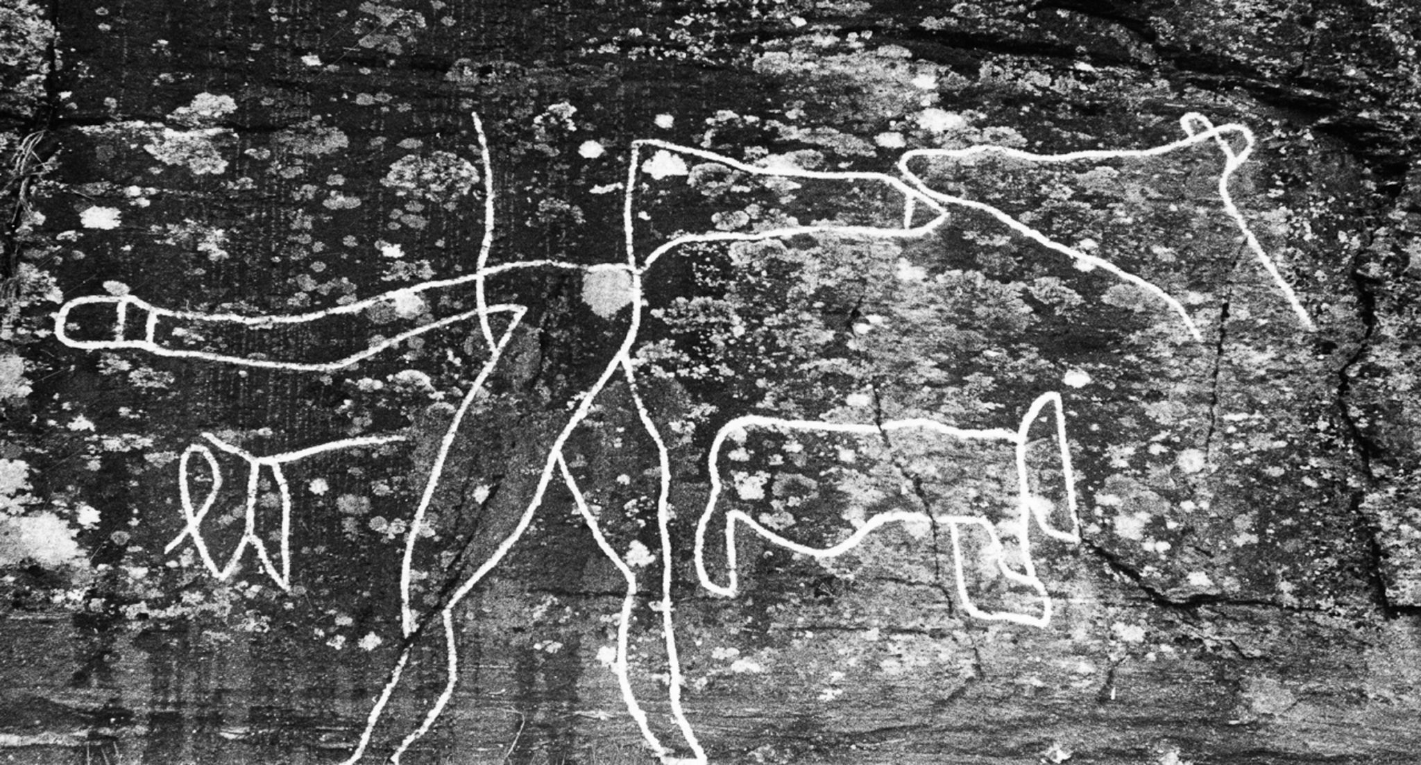Details from the uppermost of the rock carving sites at Skavberg, from the Middle Stone Age © Knut Dyvik, 1959 / fotoarkiv@perspektivet.no