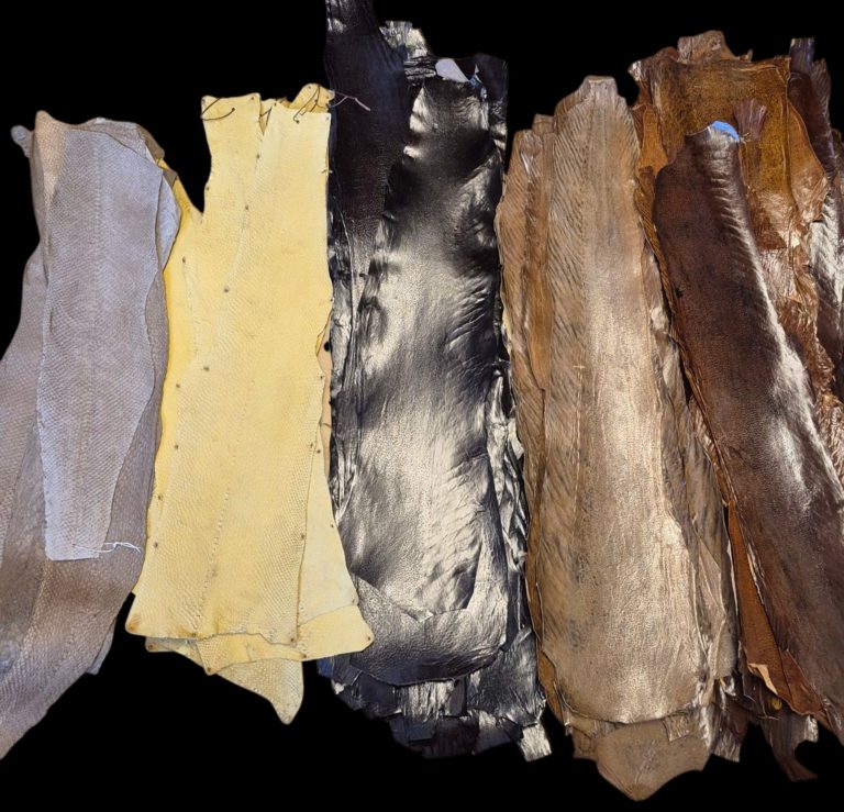Fish skin ready to adorn clothes and bags, from Kronebutikken. © Kronebutikken