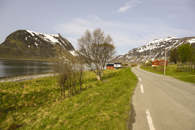 Rapid change from winter to summer along Langfjorden, on the southern side of Arnøya © Knut Hansvold