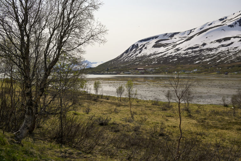 At the head of Langfjorden, Arnøya Island © Knut Hansvold