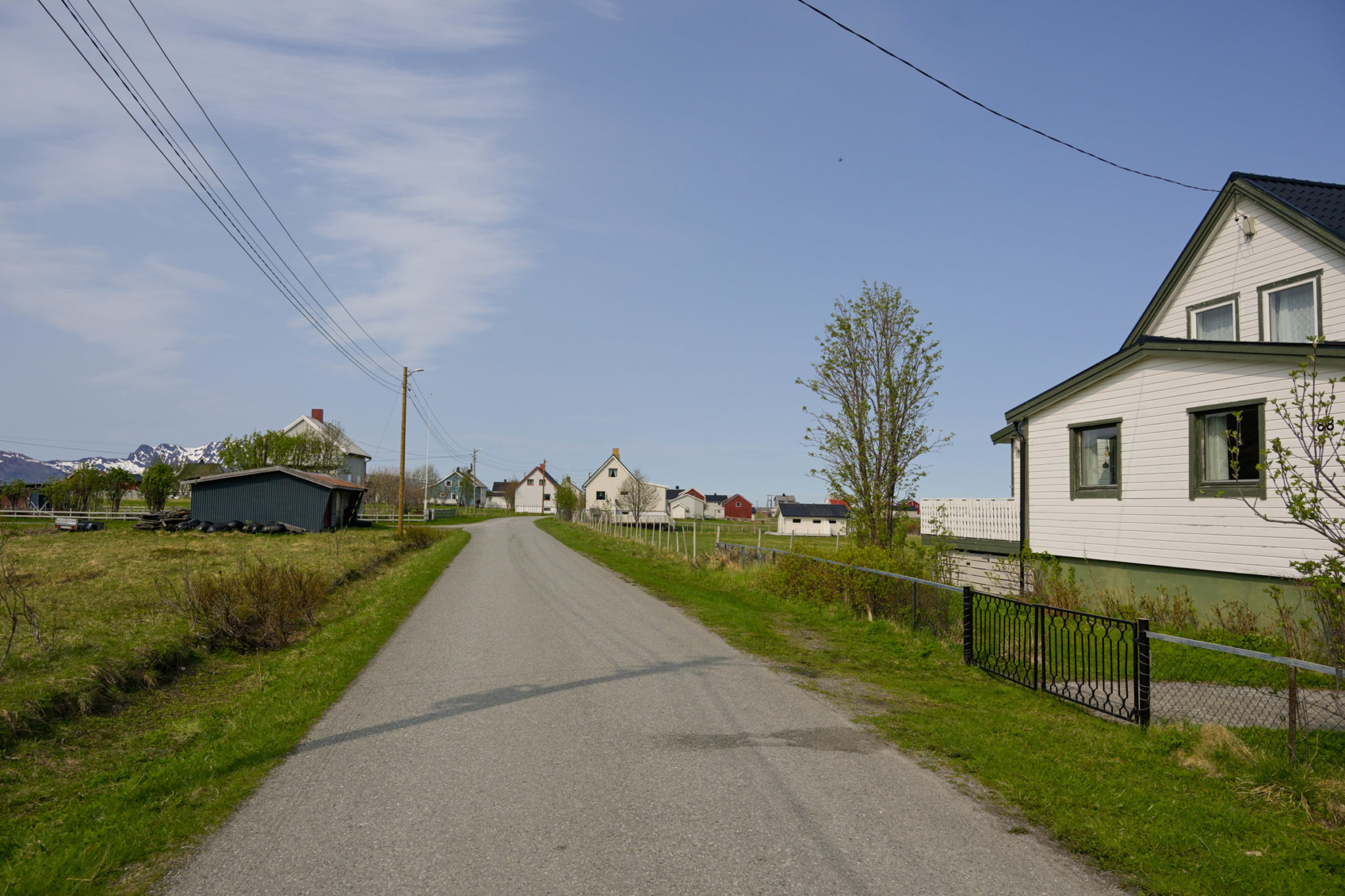 Leaf budding in Årviksand. The houses date from the reconstruction period after the devastation in the autumn of 1944 © Knut Hansvold