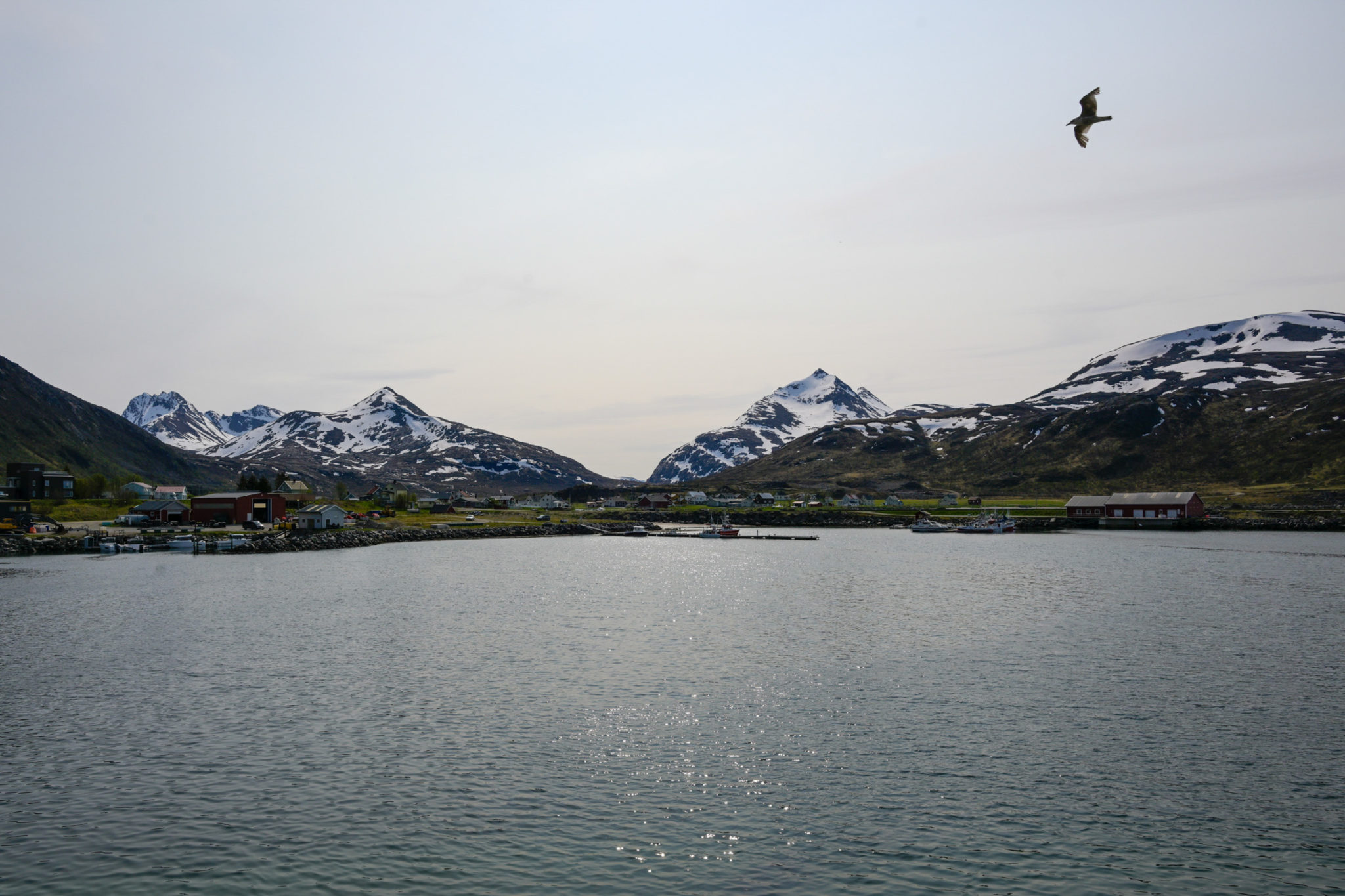 The fishing village of Årviksand seen from the breakwater towards the south. This community depends on the fisheries © Knut Hansvold