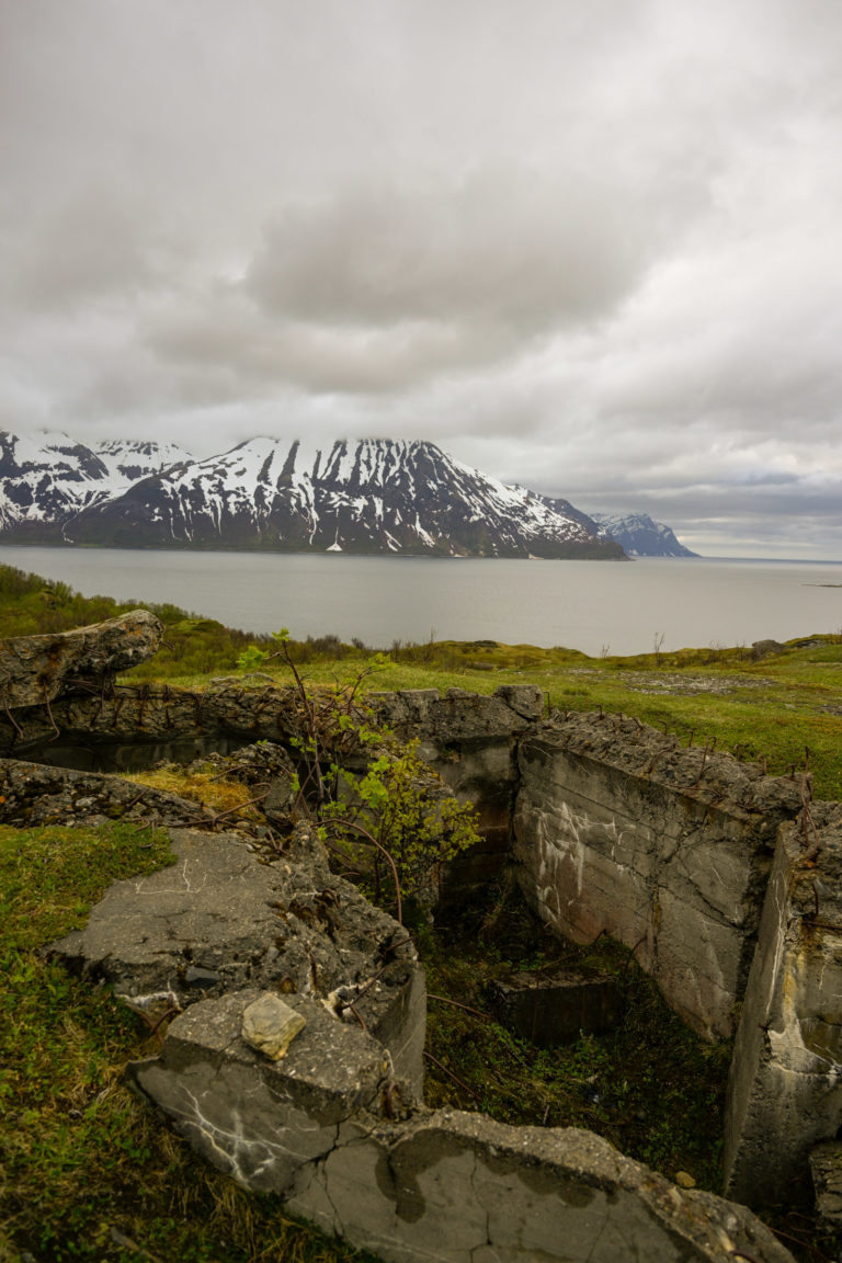 The concrete of the coastal fort is crumbling, and nature is reclaiming Engnes © Knut Hansvold