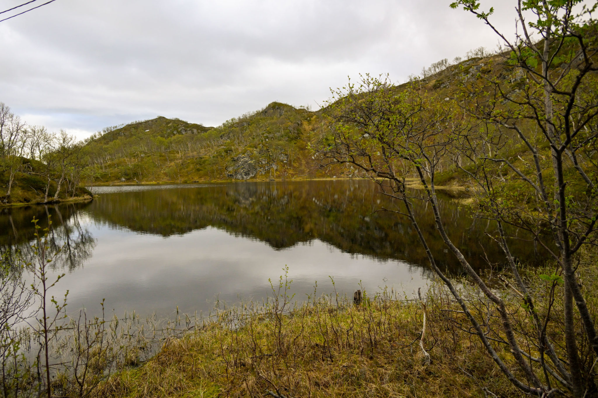 Pond on the way to Engnes © Knut Hansvold