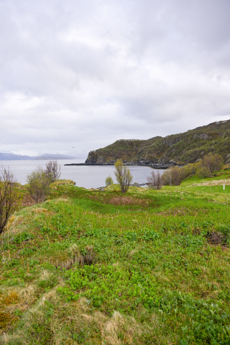 View eastwards towards the Kvænangstindan, shrouded in rain showers © Knut Hansvold