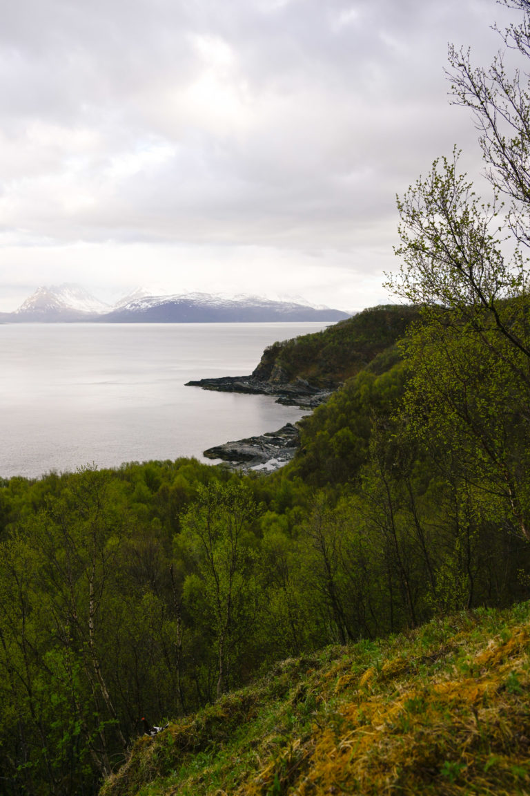 From the upper viewpoint at Engnes looking east © Knut Hansvold