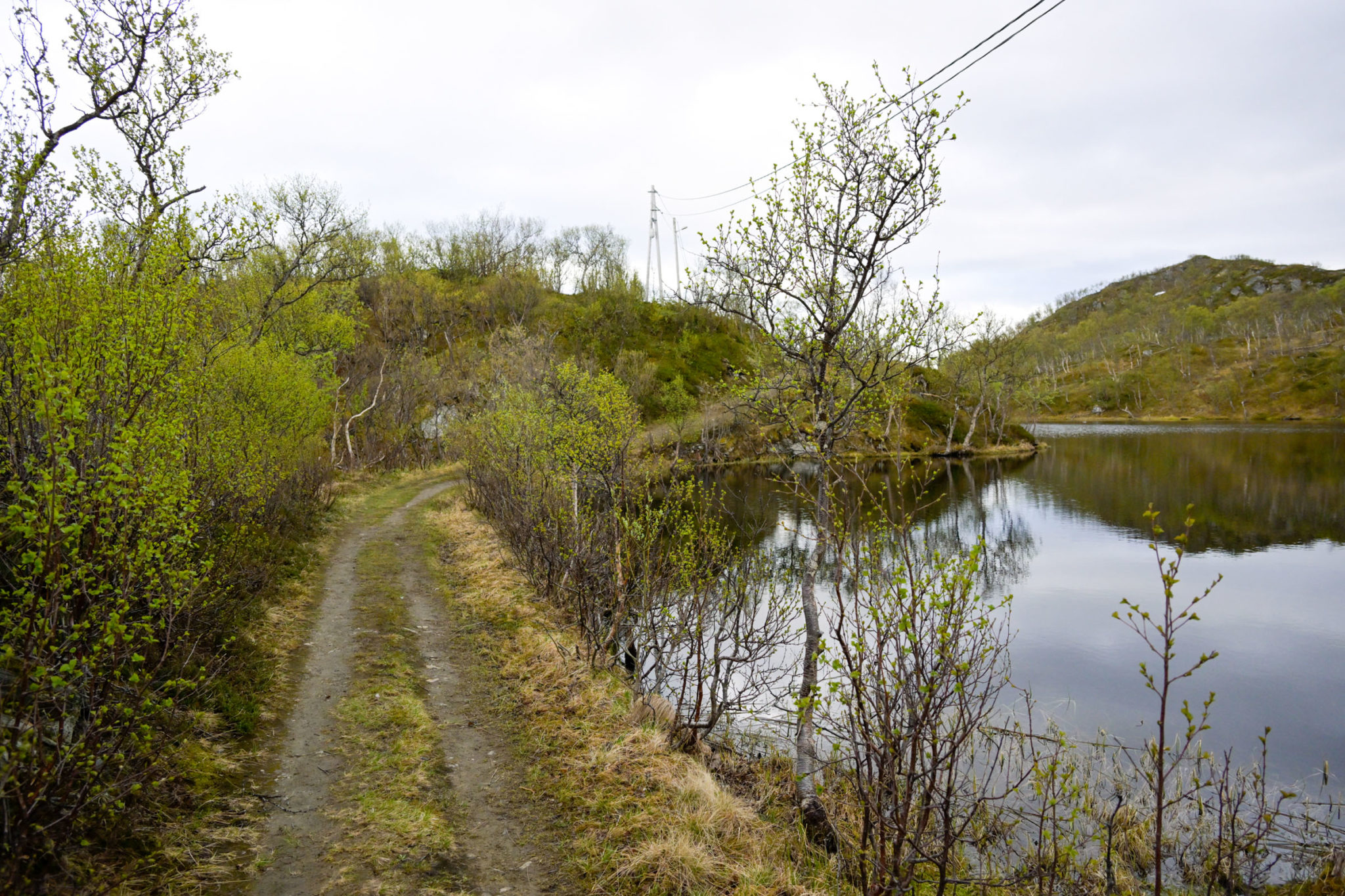The road to Engnes is the old construction road from World War II © Knut Hansvold
