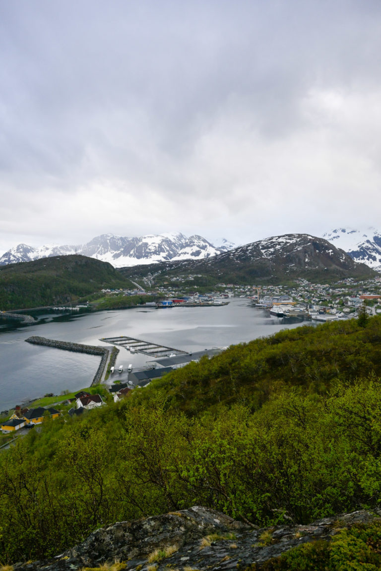 View from the trail towards the harbour at Skjervøy, the Lyngen Alps still snow-covered in the early days of June © Knut Hansvold