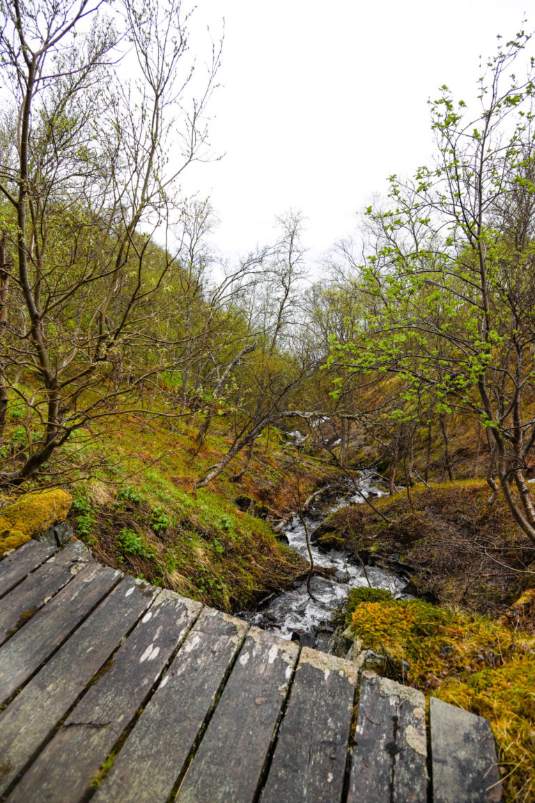 Spring-lively brook on the way out to Engnes © Knut Hansvold