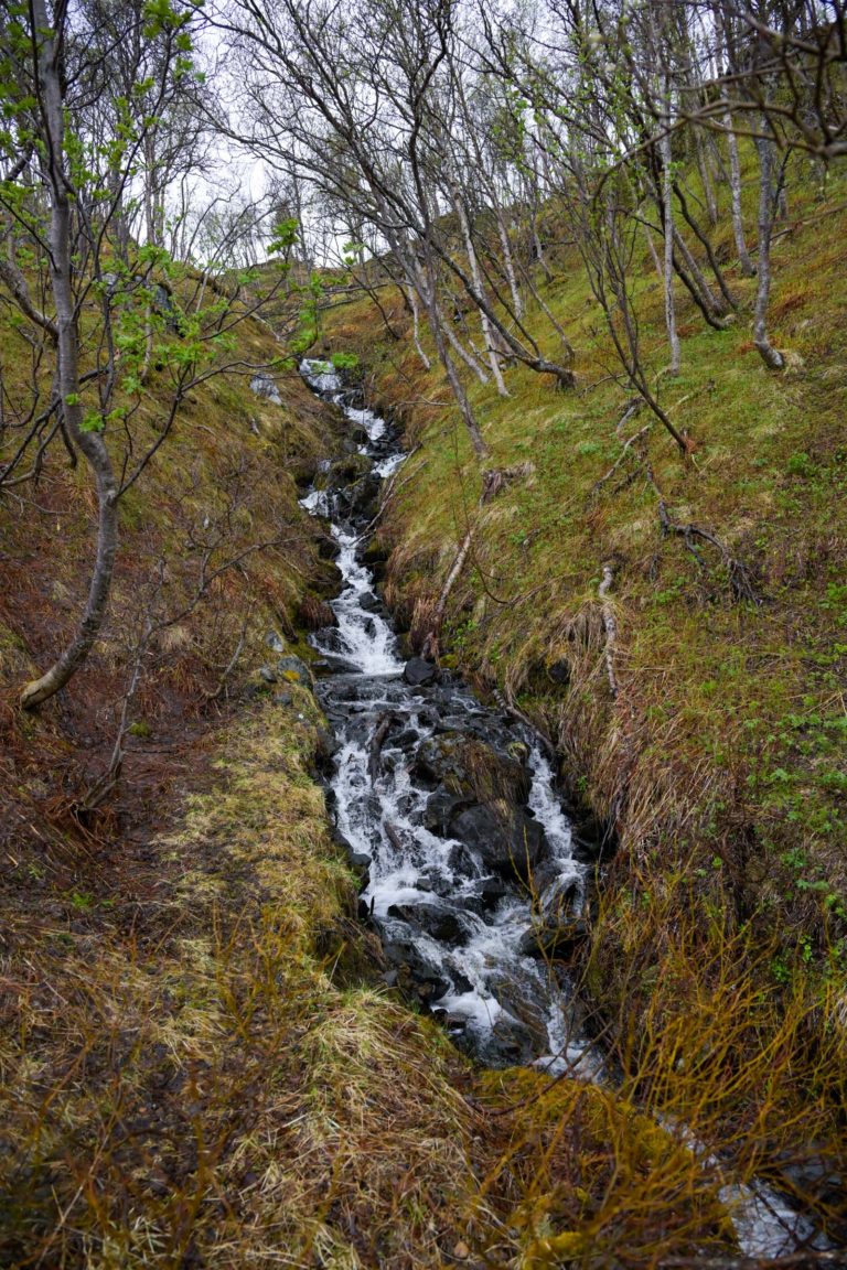 On the way through the forest to Engnes © Knut Hansvold