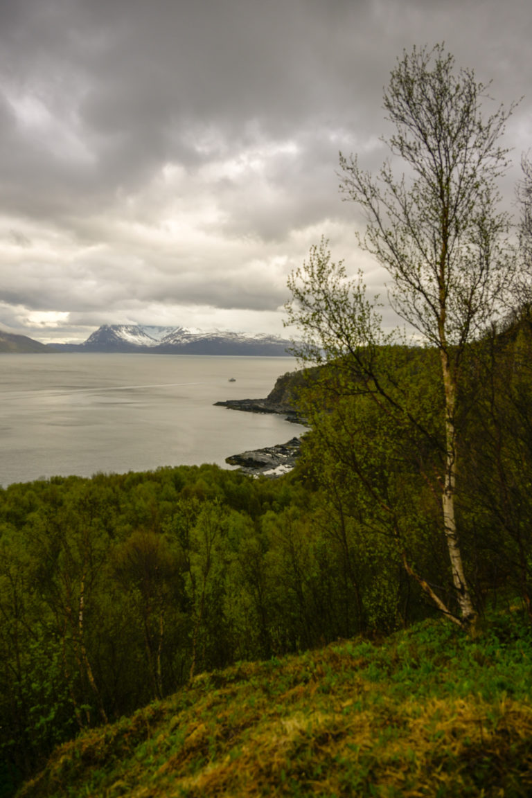 View from the trail towards the Kvænangstindan peaks battling the clouds © Knut Hansvold