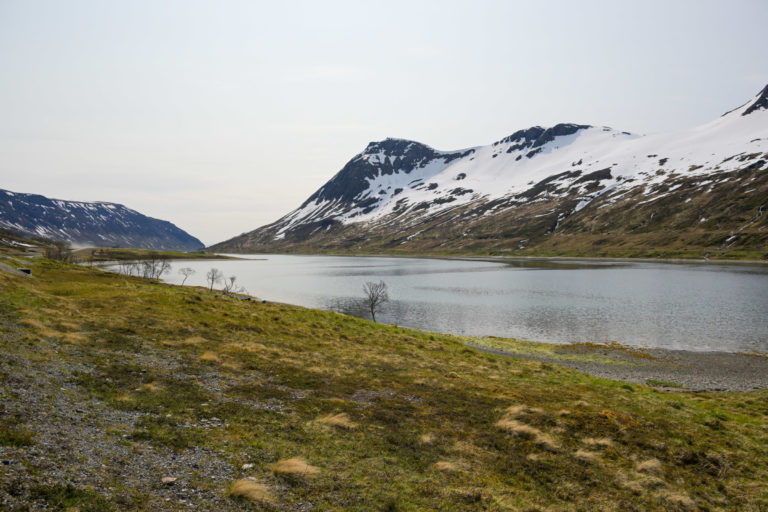 On the mountain between Langfjorden and Årviksand on Arnøya © Knut Hansvold