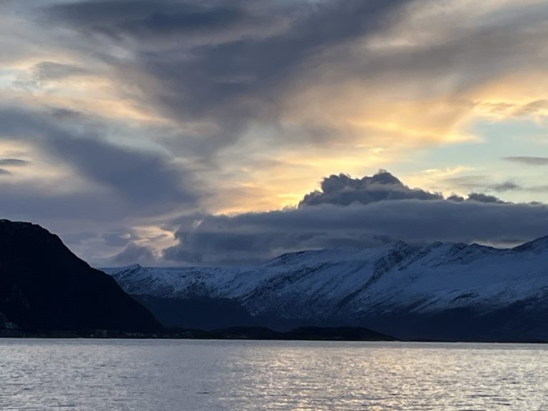 På båtcruise fra Bodø til Beiarn. Foto: Liv Lyng Hauge 