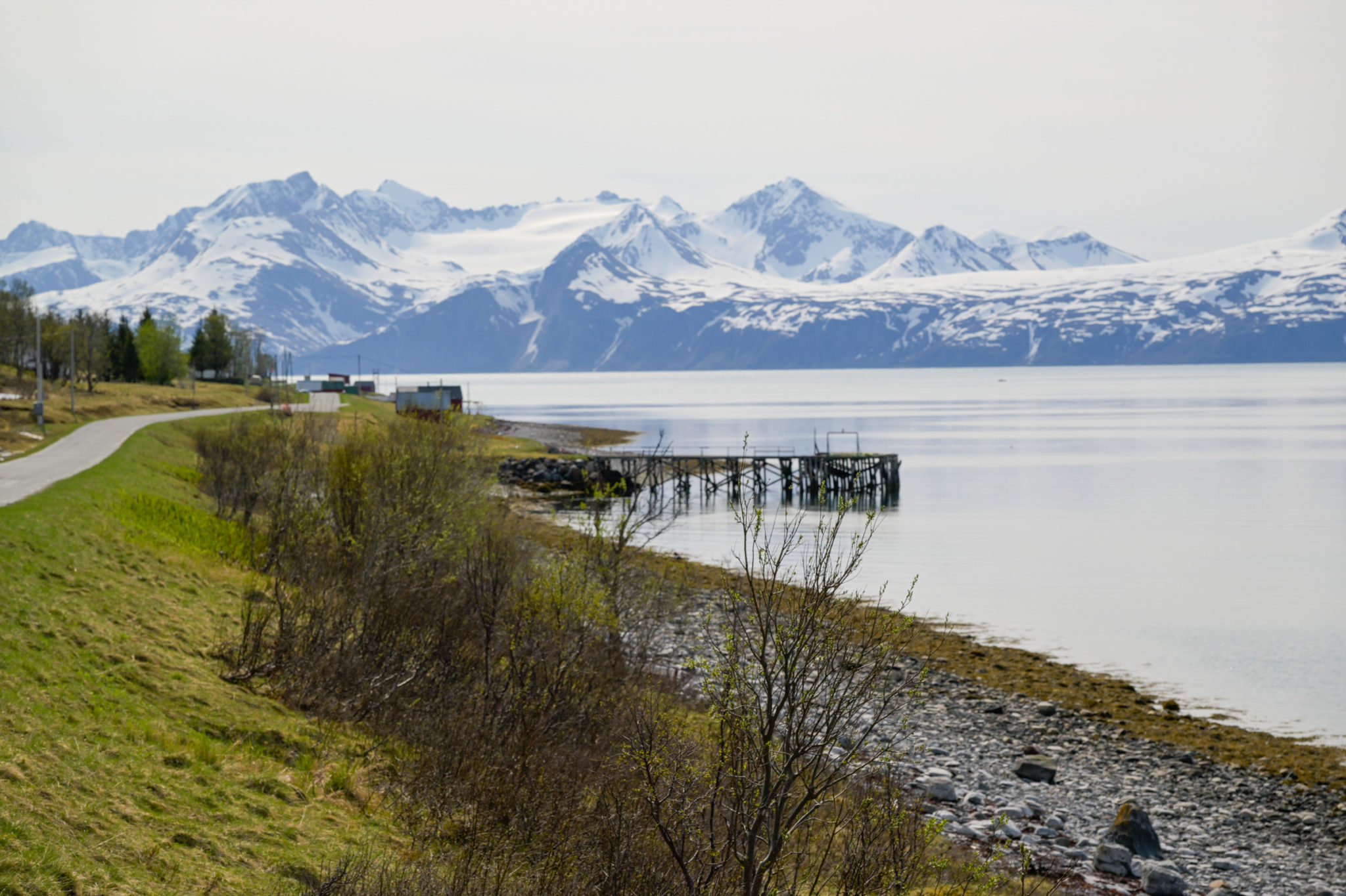 The Lyngen Alps seen from the southern part of Langfjorden on Arnøya © Knut Hansvold