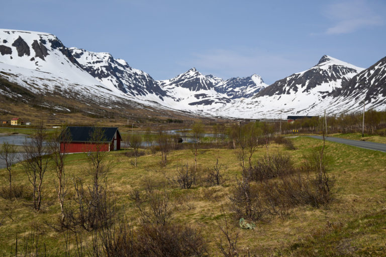 At the innermost part of Langfjorden on Arnøya, as spring creeps up the mountainsides © Knut Hansvold