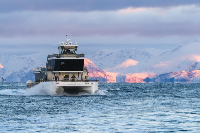 A vessel purpose-built for experiencing nature. And out on the whale grounds, it’s completely silent © Brim Explorer