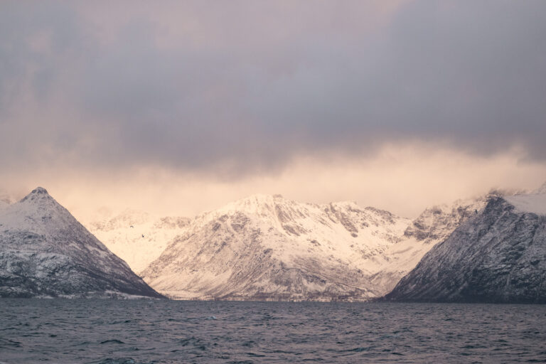 Sounds and waterways everywhere. For most of the journey, we stay in sheltered waters, protected from the swell. © Marie Nystad Helgesen