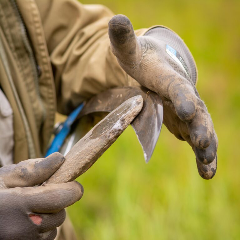 Ljåen må slipes på Roparneset, Saltdal. Foto: Laila Ingvaldsen / Nordland nasjonalparksenter